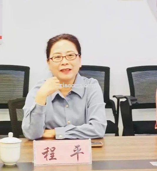 安徽民进企联会一行莅临我司走访